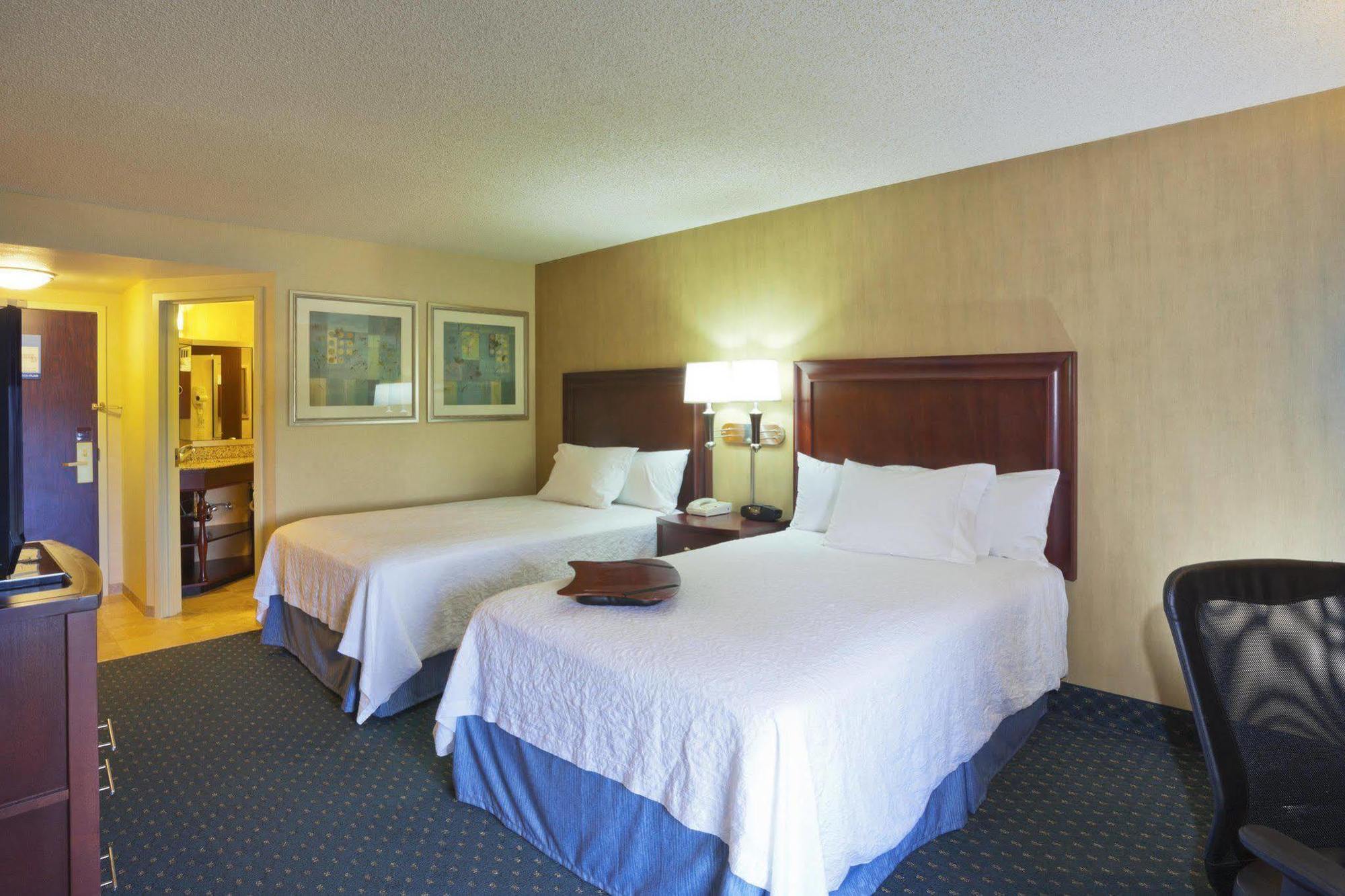Hampton Inn Seattle Airport SeaTac Rom bilde